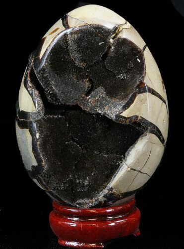 Septarian Dragon Egg Geode - Black Calcite Crystals #33988